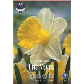 nartsiss-las-vegas-w800-h800