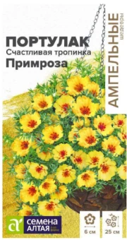 Снимок экрана 2026-07-31 111128