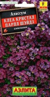 00031534_Алиссум Клеа Кристал Парпл Шэйдз (Аэлита)