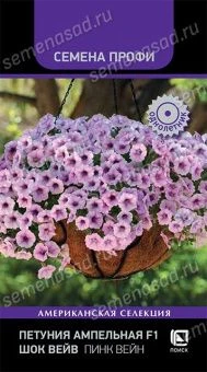 petunia_ampel_shock_wave_pink_vein