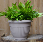 Флора горшок с поддоном 1,6л d17 h12 фраппе 1/32 (ТехПласт)