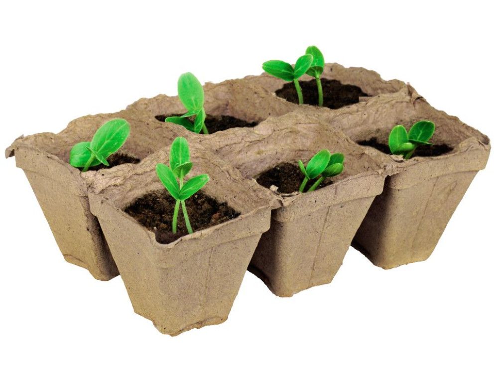 Все для рассады