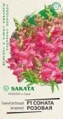 Львиный зев Соната розовая 7шт Саката серия Элитная клумба (Гавриш)