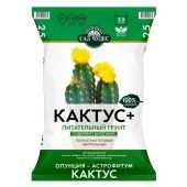 Сад Чудес Кактус 2,5л 1/10/700 (Норд Палп)
