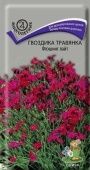 Гвоздика травянка Флэшинг Лайт 0,1г (ПОИСК)