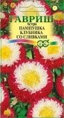 Астра Пампушка клубника со сливками (Гавриш) 1/800