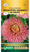 Астра ХРИЗАНТЕЛЛА Фламинго на закате китайская 5шт (Евросемена)