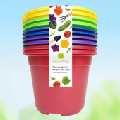 Горшок круглый Color 0,5л d11см h8,5см разноцветные упаковка 10шт 1/30 (ГС)