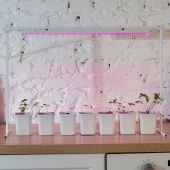 Светильник светодиодный линейный ULI-P20-18W для растений 560мм арт.UL-00002992 (ПрЭн)