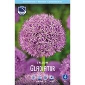 Аллиум Гладиатор 1шт (А)