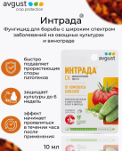 Интрада 10мл 1/80 (Август)