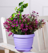 Толедо горшок с поддоном 2л d17 h13 лаванда 1/23 (ТехПласт)