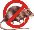 Средства от грызунов Средства от грызунов