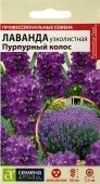 Лаванда Пурпурный колос узколистная (Сем Алт)