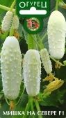 Огурец Мишка На Севере (Биотехника)
