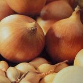 Лук севок Центурион 10/21 сетка 20кг (Россия-Голландия) +/-10%
