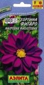 Георгина Фигаро махровая фиолетовая (Аэлита)