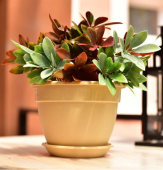 Антик горшок с поддоном 1,6л d17 h12,2 фрапе 1/35 (ТехПласт)