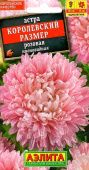 Астра Королевский размер розовая (Аэлита)