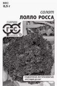 Салат Лолло Росса Б/П (Гавриш)
