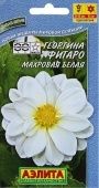 Георгина Фигаро махровая белая (Аэлита)
