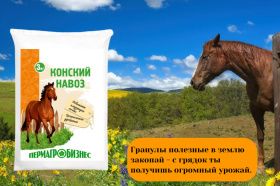 Конский навоз — “черное золото” для огорода и сада Конский навоз — “черное золото” для огорода и сада