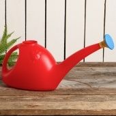 Лейка 3л с РАССЕИВАТЕЛЕМ (Радиан) 1/20