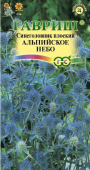 Синеголовник Альпийское небо (Гавриш)