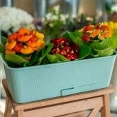 Ящик балконный Прованс с поддоном 6л длина 40см высота17см ширина13см ментоловый 1/10 (ТехПласт)