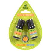 Набор эфирных масел Эвкалипт и пихта 2х10мл арт.32289 1/20 (Б/Ш)