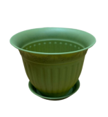 Виноград кашпо с поддоном 4л d26 h20 папоротник1/10 (ТехПласт)