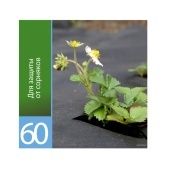 Укрывной материал Агротекс 60 мульча 10x3,2м 1/8 (ГексаУрал)