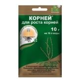 Корней 10г 1/10/200 (З/А)