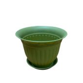 Виноград кашпо с поддоном 1,6л d19 h15 папоротник 1/10 (ТехПласт)