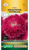 Астра ХРИЗАНТЕЛЛА Тропикана китайская 5шт (Евросемена)