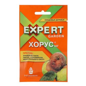 00041735_Хорус 2г (ЭГ)