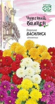 00007865_Георгина Василиса серия Чудесный балкон (