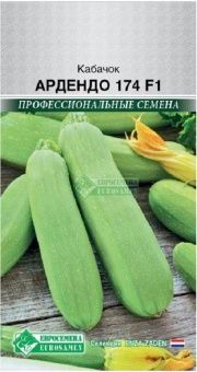 00041609_Кабачок Ардендо 174 F1 3шт Голландия (ЕС)