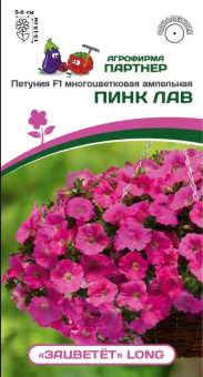 Снимок