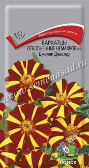 00041050_Бархатцы Джолли Джестер отклоненные немах