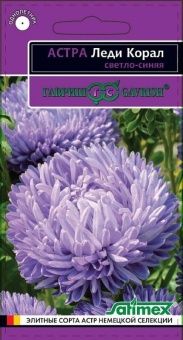 00010192_Астра Леди Корал светло-синяя (Гавриш) 1_