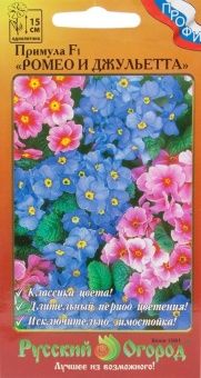 00004682_Примула Ромео и Джульетта (НК)