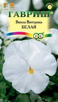 00013650_Виола белая (Гавриш) 1800