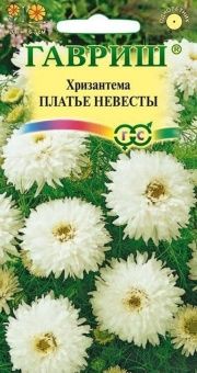 00026380_Хризантема Платье невесты 0,1 г (Гавриш)