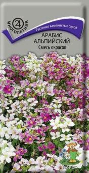00033893_Арабис альпийский Смесь окрасок (ПОИСК)