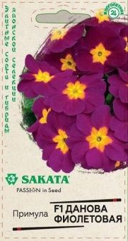 00034012_Примула Данова фиолетовая 5шт (Гавриш)