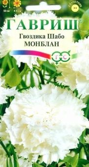 00007710_Гвоздика шабо Монблан (Гавриш)