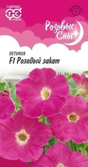 00040923_Петуния Розовый закат F1 многоцветковая 1