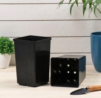 00011209_Горшок технический квадрат высокий Роза 2