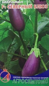 00011108_Баклажан Северный Блюз (Агросемтомс)